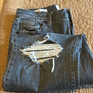 Stylish Blue Distressed Women Jeans